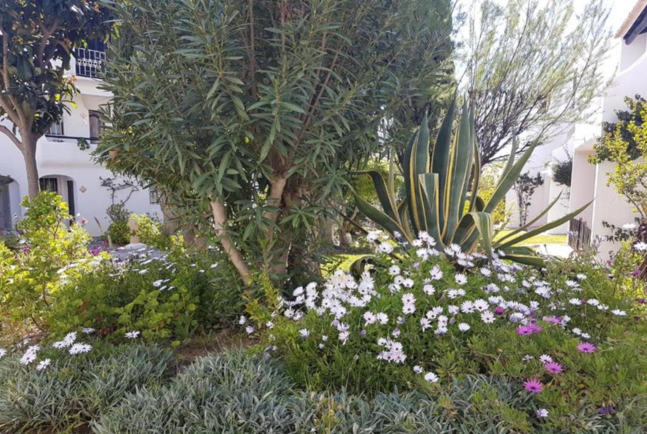אלבופיירה Apartment Sao Rafael Holidays מראה חיצוני תמונה